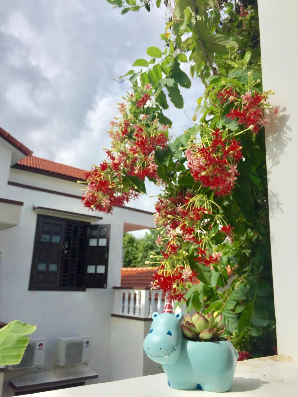 Holy Land Homestay Hoi An Luaran gambar