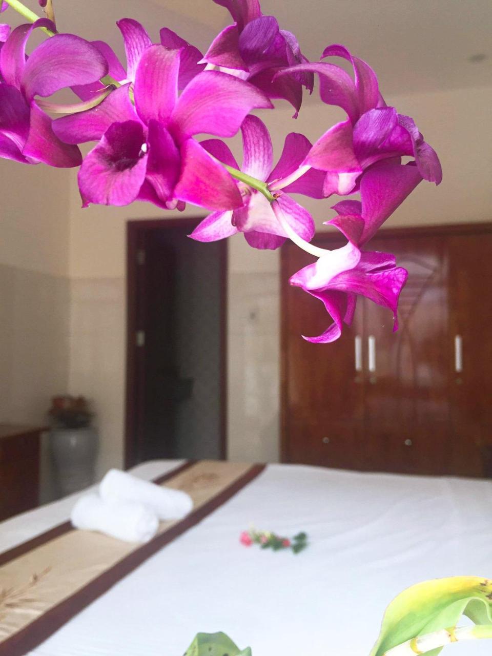 Holy Land Homestay Hoi An Luaran gambar